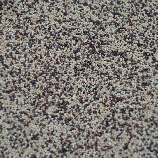 British Red & White Quinoa