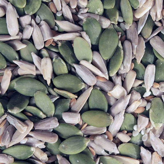 Organic Omega Four Seed Mix