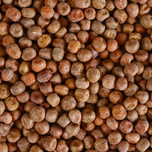 Organic British Red Fox Carlin Peas