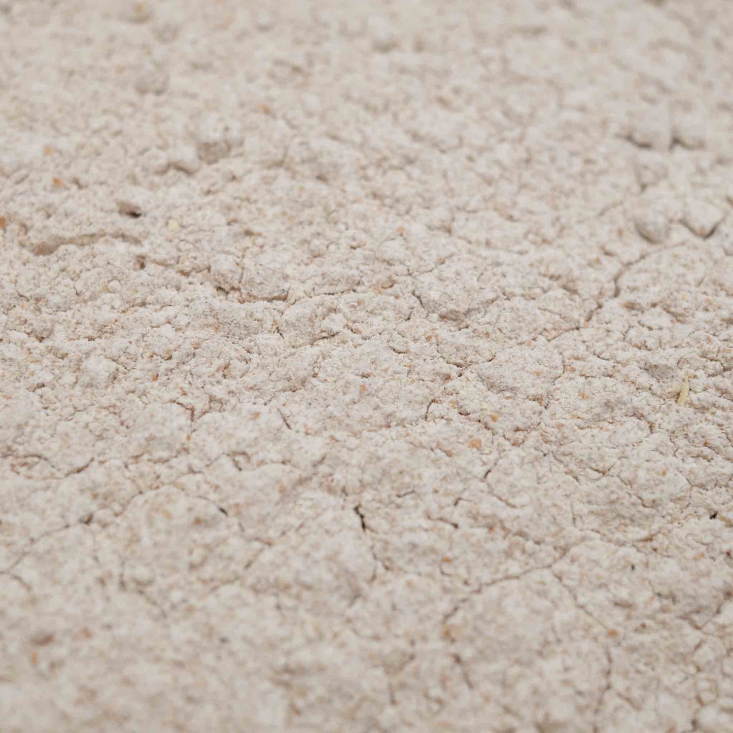Organic British Wholemeal Flour