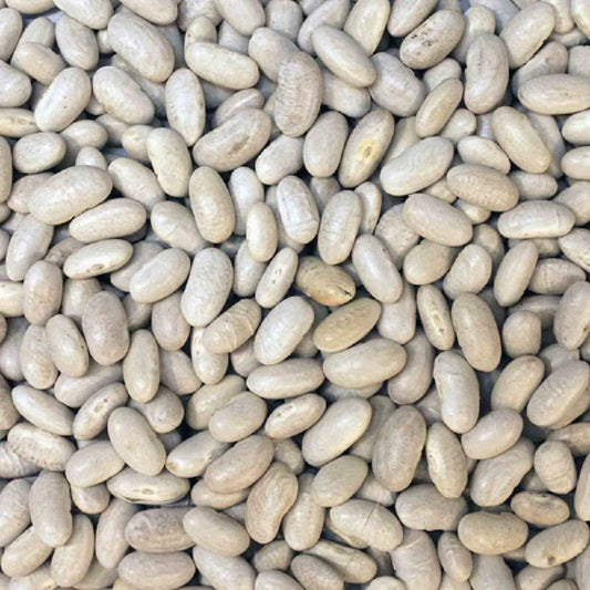 Organic Cannellini Beans