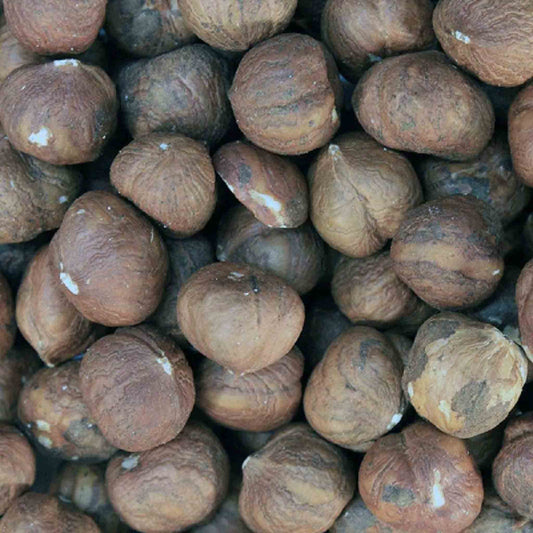 Organic Hazelnuts