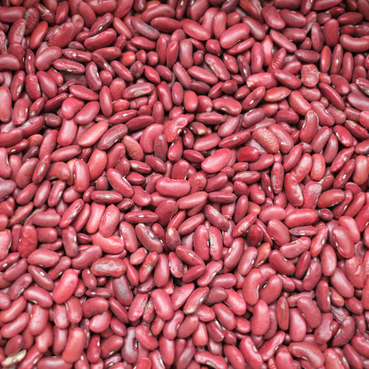 Organic Red Kidney Beans