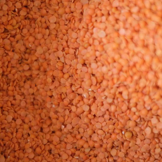 Organic Red Split Lentils