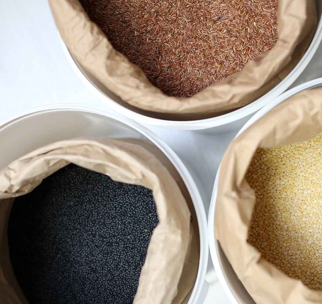 Types Of Lentils