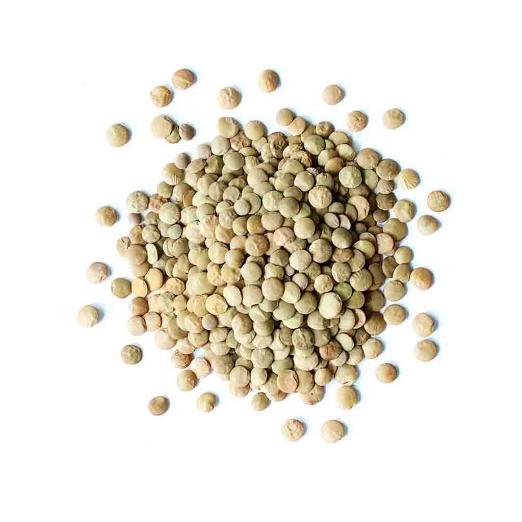 Organic British Olive Green Lentils