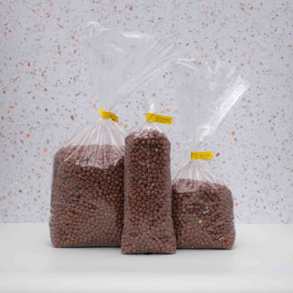 British Red Fox Carlin Peas