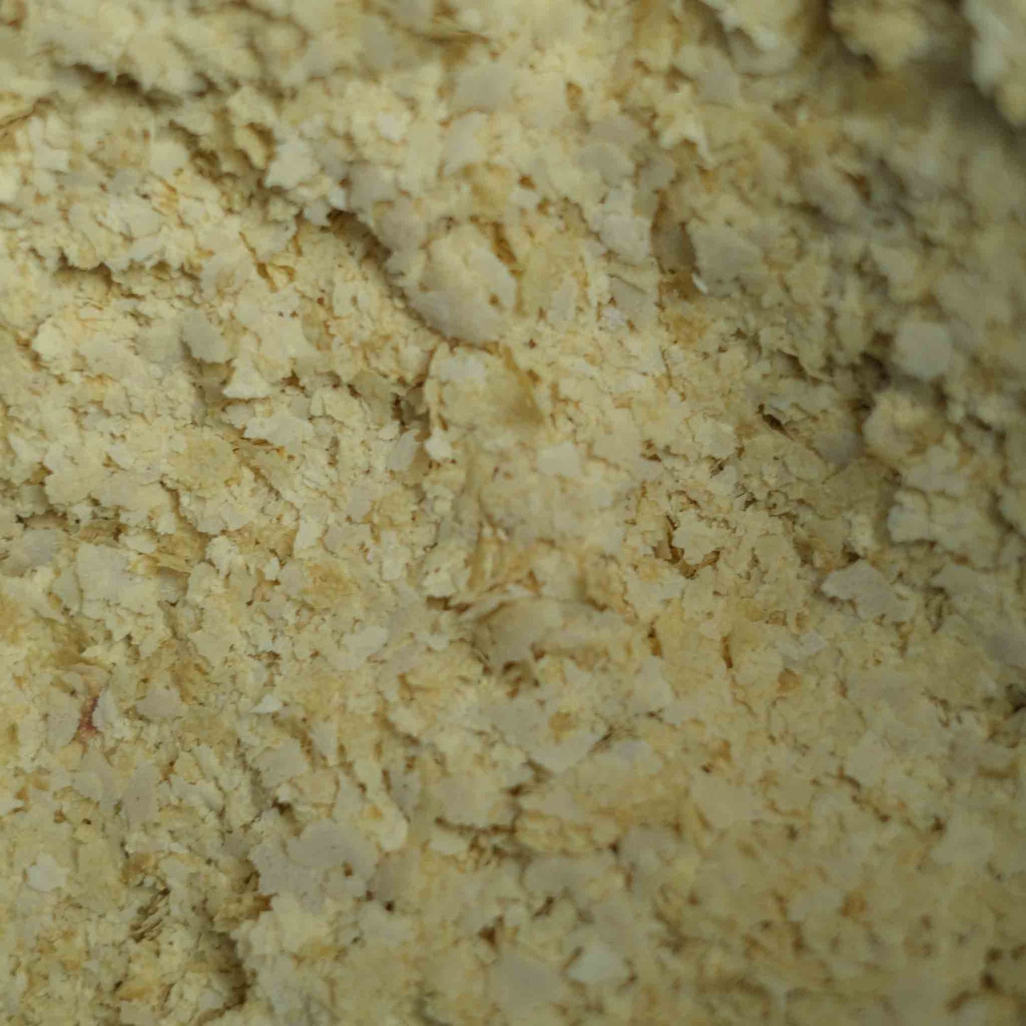 Nutritional Yeast Fortified With B12