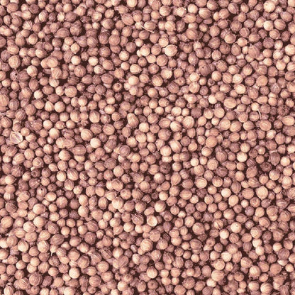 Organic Coriander Seeds