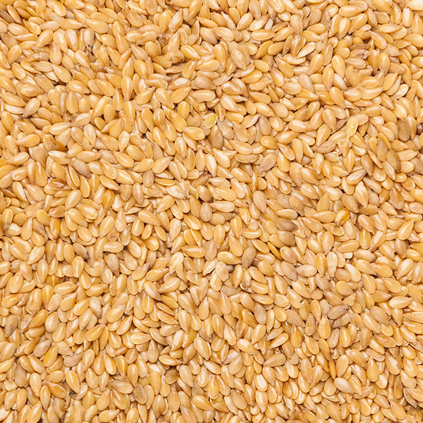 Organic Golden Linseed