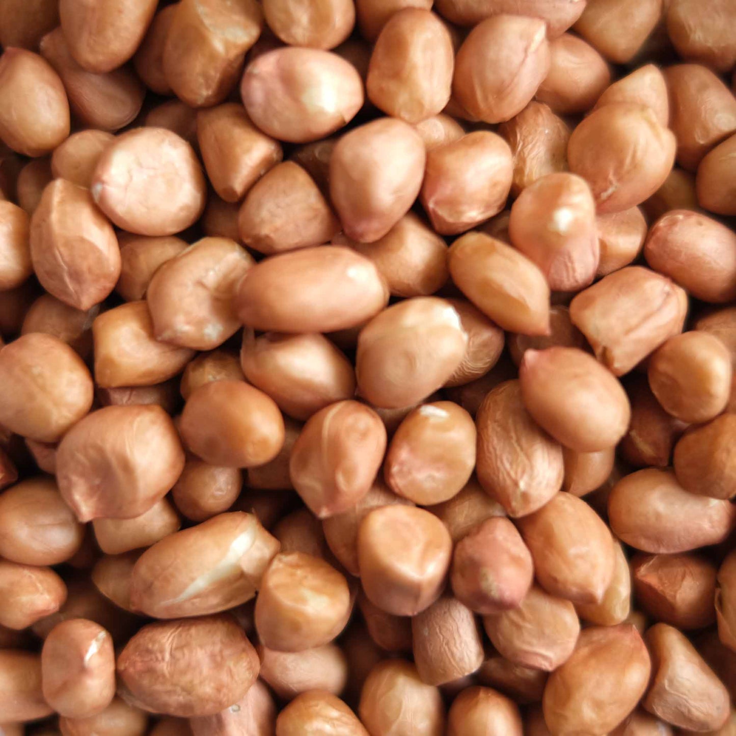 Organic Raw Peanuts