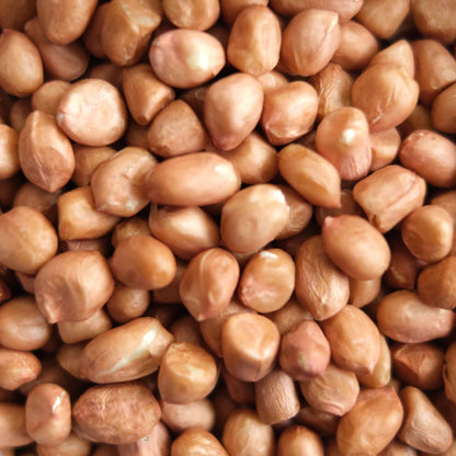 Organic Raw Peanuts