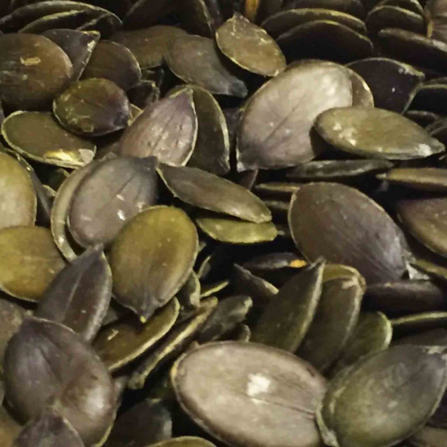 Organic Austrian Pumpkin Seeds