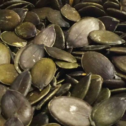 Organic Austrian Pumpkin Seeds