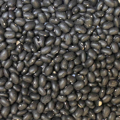 Organic Black Turtle Beans