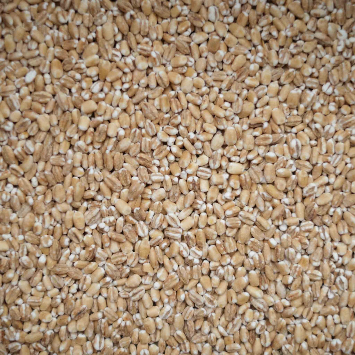 Organic British Pearl Barley