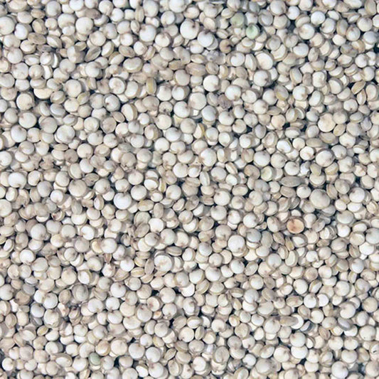 Organic British White Quinoa