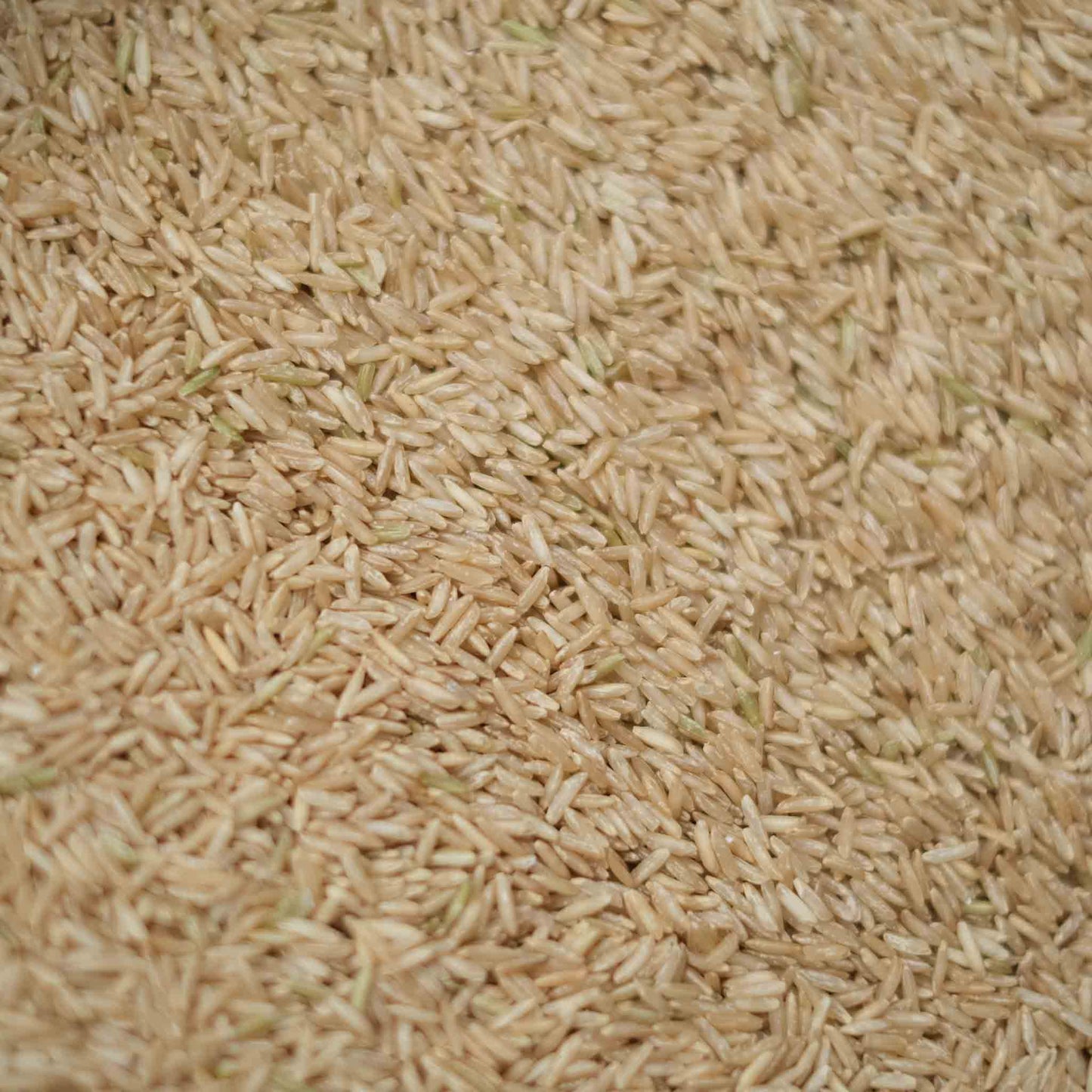 Organic Brown Basmati Rice