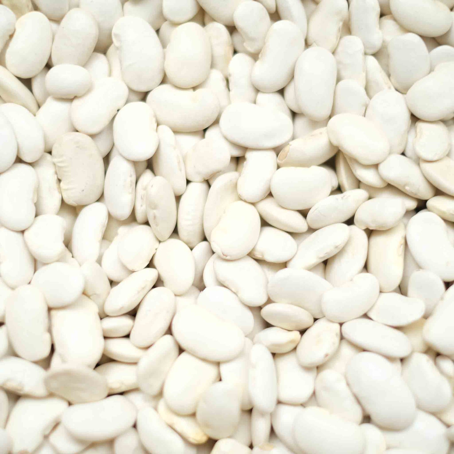 Organic Butter Beans