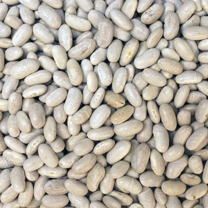 Organic Cannellini Beans