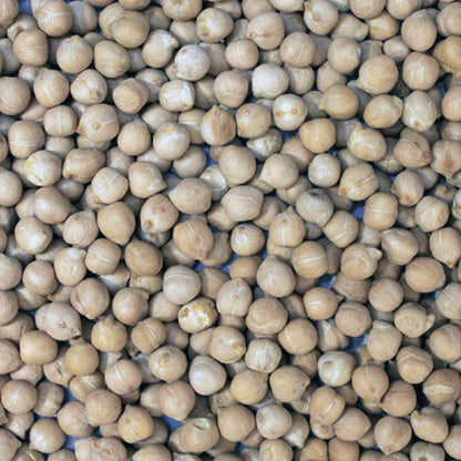 Organic Chickpeas