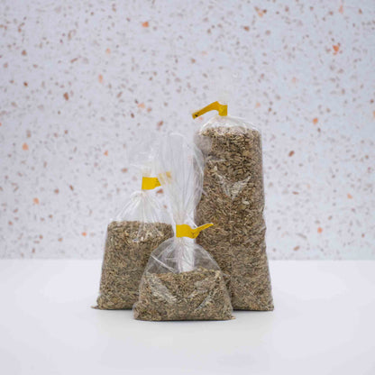 Organic Fennel Seeds