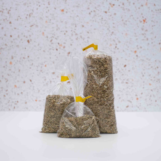 Organic Fennel Seeds