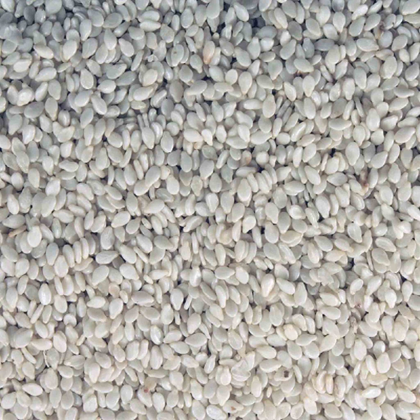 Organic Hulled Sesame Seeds