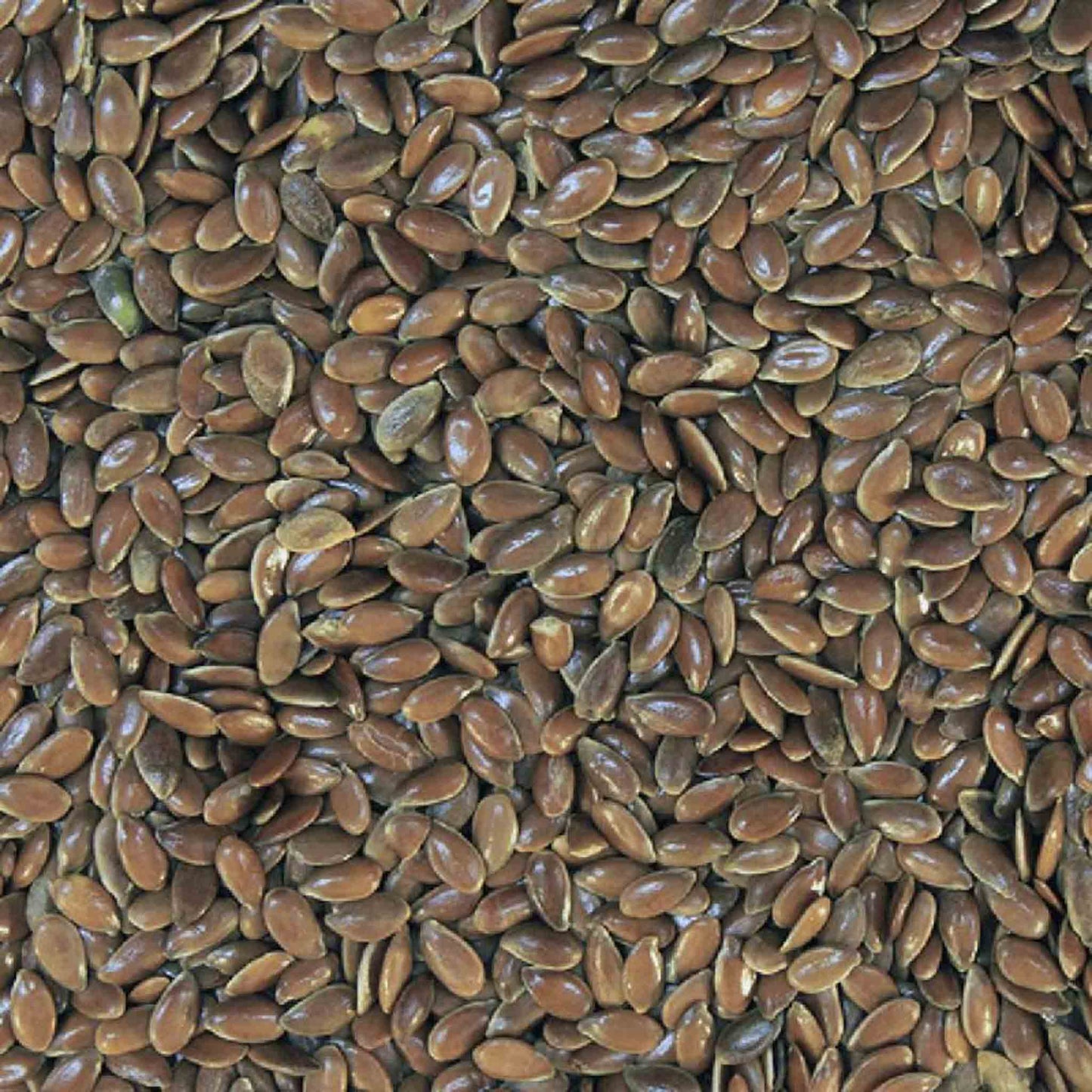 Organic Brown Linseed