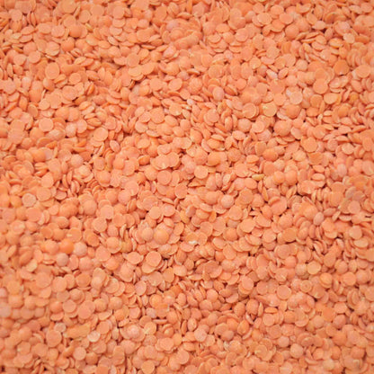 Organic Red Split Lentils