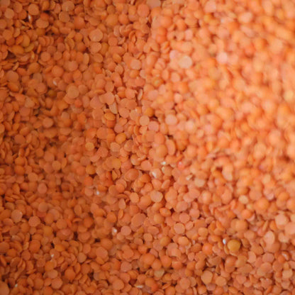 Organic Red Split Lentils
