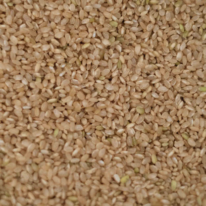 Organic Short Grain Brown Rice