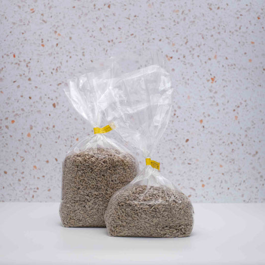 Organic Sunflower Seeds