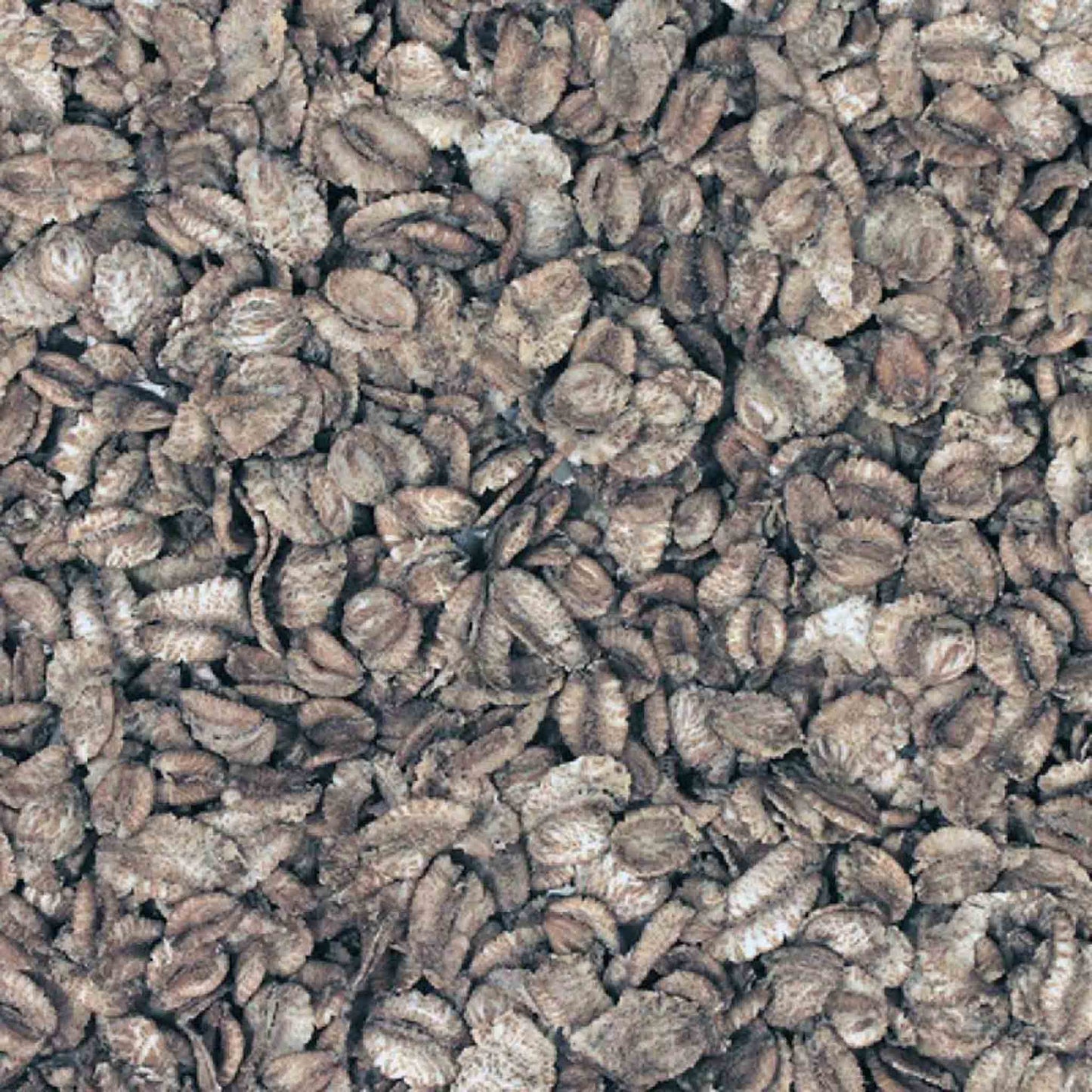 Organic British Toasted Wheat Flakes