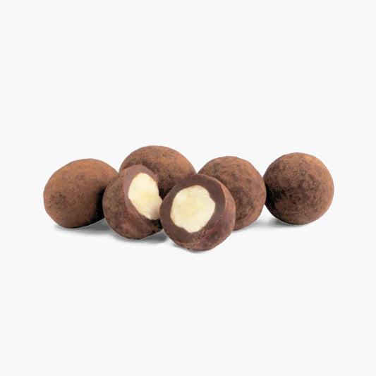 Organic Raw Chocolate Salted Hazelnuts