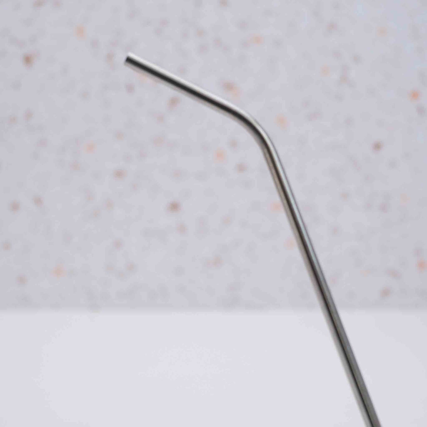 Stainless Steel Straws