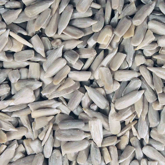 Organic Sunflower Seeds