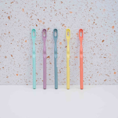 Toothbrush Handle