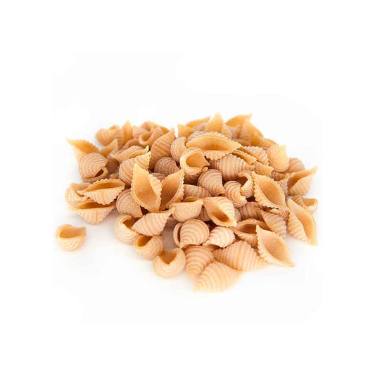 Organic British White Spelt Conchiglie