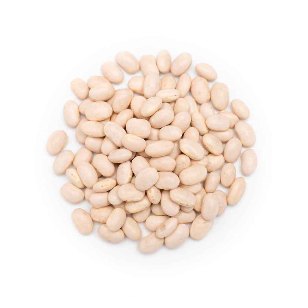 Organic Cannellini Beans