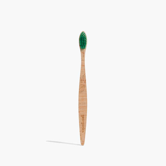 Eco Friendly Beechwood Toothbrush