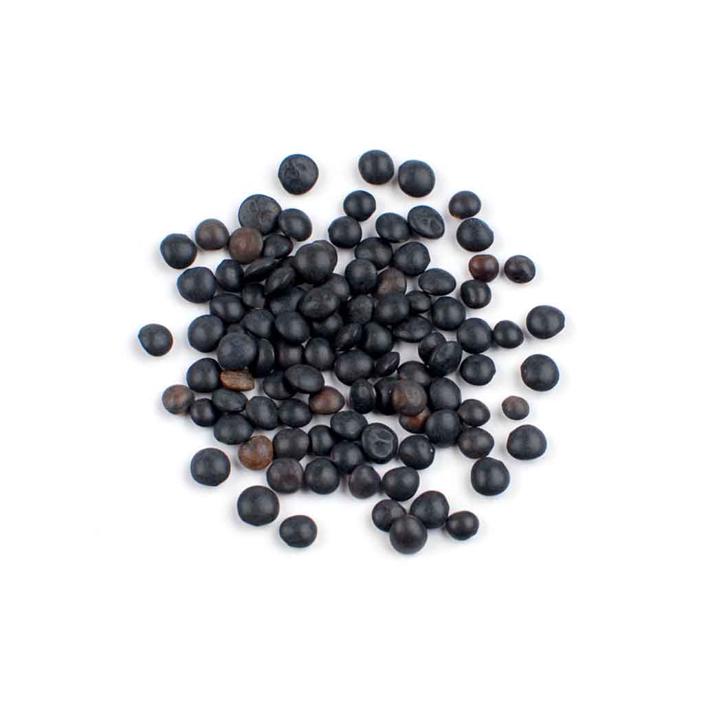 Organic Black Beluga Lentils