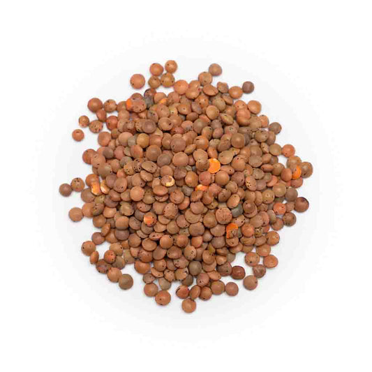 Organic Brown Lentils