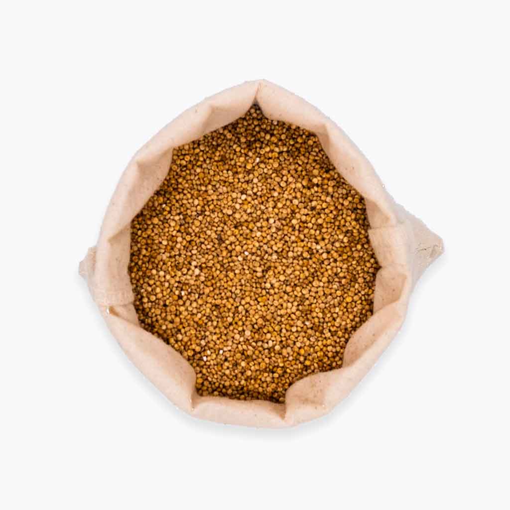 Organic British White Quinoa