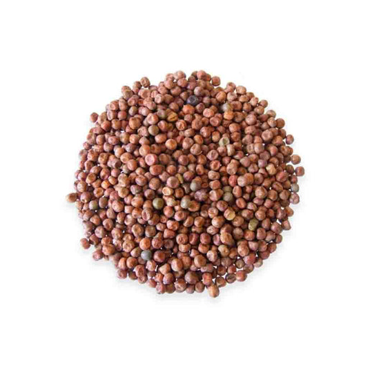 British Red Fox Carlin Peas